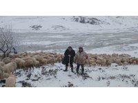 Tipi vurdu heyelan yolu kapattı, 2 çoban ve yaklaşık 650 küçükbaş hayvan yaylada mahsur kaldı