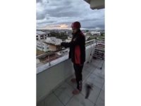 Osmaniye’de aspiratör borusuna giren 3 kırlangıç kurtarıldı