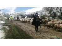 Isparta’da yaylada mahsur kalan çobanlar 30 saat sonra kurtarıldı
