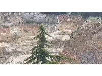 Eğirdir’de tırmandıkları kayalıklarda mahsur kalan çocuklar kurtarıldı