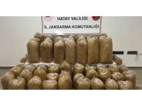 Hatay’da Jandarma’dan geniş çaplı asayiş operasyonu