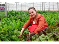 5. Uluslararası Antalya FoodFest Gastronomi Festivali Akdeniz yeşillikleri hasadıyla başladı