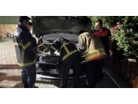 Antakya’da otomobilin motoruna giren kediyi itfaiye kurtardı
