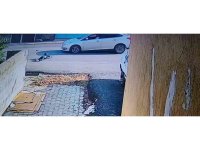 Yola fırlayan çocuk otomobilin çarpmasıyla metrelerce savruldu: O anlar kamerada