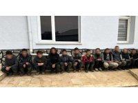 Yayladağı’nda dron destekli operasyonda 11 göçmen yakalandı