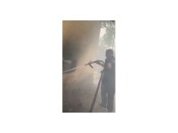 Osmaniye’de kiler yangınında kedi ve yavruları kurtarıldı