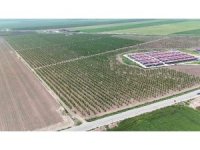 Mesaileri başlayan tarım işçileri, Amik Ovası’nda bin 100 TL yevmiye alacak