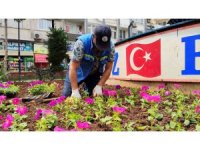 Akdeniz’de parklar bahara hazır: 50 bin çiçek toprakla buluşacak