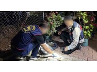 İskenderun’da uyuşturucu tacirine operasyon