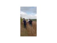 Adana’da otomobil tarlaya uçtu: 1 ölü, 1 yaralı