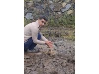 Dere yatağında mahsur kalan köpek ile toprak altındaki kaplumbağa kurtarıldı