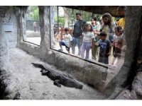 Tarsus Doğa Parkı bayramda 28 bin ziyaretçiyi ağırladı