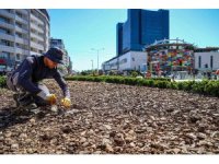 Büyükşehirden kuraklığa karşı sürdürülebilir peyzaj