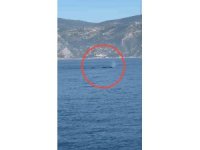 Akdeniz açıklarında görüntülenen balina heyecanlandırdı