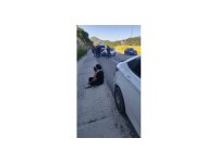 Hatay’da iki otomobil çarpıştı: 3 yaralı