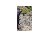 Yatak ve halıların arasına saklanan yılanı itfaiye buldu