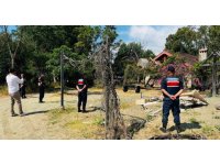 Kemer’de kaçak bungalov yapılar yıkıldı