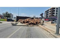 Kamyon kavşağa girerken devrildi, tomruklar yola savruldu