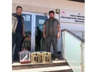 Kuş denetiminde kafeslerdeki keklik ve papağanlara el konuldu