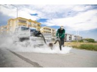 Mersin’de sinek ve haşerelere karşı yoğun mesai