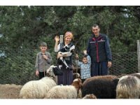 Mersin’de bir koyun alamayan aile sürü sahibi oldu