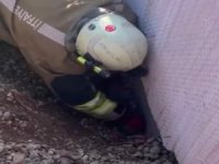 Moloz yığını altında kalan yavru kedi kurtarıldı