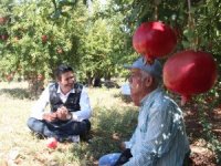 DÖŞEMEALTI'NDA NAR HASADI BAŞLADI