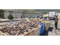 Seyir halindeki tırın dorsesi patladı, 15 ton balık atığı yola saçıldı
