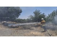 Hassa’da otluk alandan alevler yükseldi