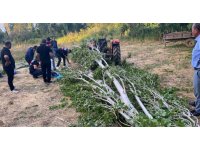 Isparta’da kestiği ağacın altında kalan adam hayatını kaybetti