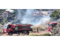Alanya’da zirai alanda çıkan yangında 1 dönüm zarar gördü