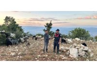 Mersin’de kayıp 40 küçükbaş dronla bulundu