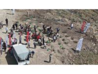 Orman yangınından zarar gören alana fidan ekildi