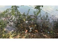 Adana’da Seyhan Nehri ve çevresindeki kirliliğe vatandaştan tepki