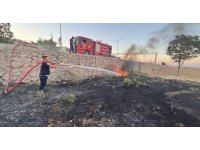 Kırıkhan’da zeytinlik alan yangını
