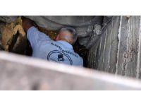 Kanalizasyona düşen kedi belediye ekiplerince kurtarıldı