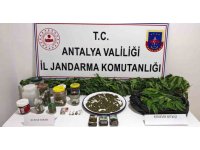 Manavgat’ta 2 kilo kubar esrar ve 130 kök kenevir ele geçirildi