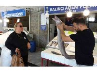 Mersin’de dev yılan balığı tezgahta ilgi odağı oldu