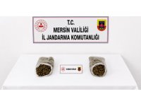 Mersin’de jandarmadan uyuşturucu operasyonu: 2 tutuklama