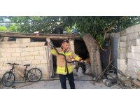 Evin bahçesinde görülen 2 karayılan paniğe neden oldu