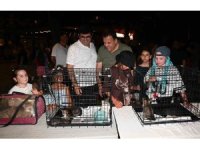 Kemer Belediyesi’nde "Can dostları" için konser