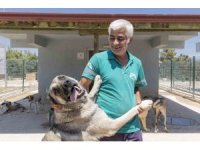 Mersin’de sahipsiz hayvanlar tedavi edilip sıcak yuvalarına kavuşuyor