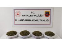 Evde yapılan aramada 1 kilo 979 gram kubar esrar ele geçirildi