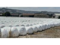 Burdur Şeker Fabrikası’na ’kötü koku’ cezası