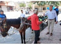 Mersin’de bitkin düşen at yeni yuvasına kavuştu