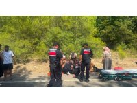 Manavgat’ta römork üzerindeki botlar devrildi: 3 yaralı