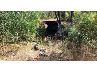 Önündeki otomobile çarptı, ardından ormana daldı: 1 yaralı