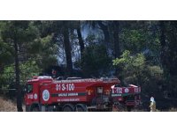 Osmaniye’de orman yangını kontrol altına alındı, soğutma çalışmaları sürüyor