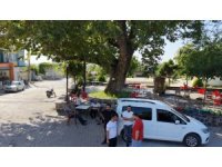Osmaniye’de 260 yıllık çınar yaz sıcağında doğal klima oluyor