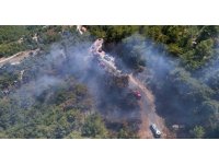Alanya’da orman yangını 3 saatte kontrol altına alındı